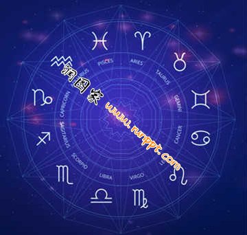 《婚配查询》完结版全文免费观看