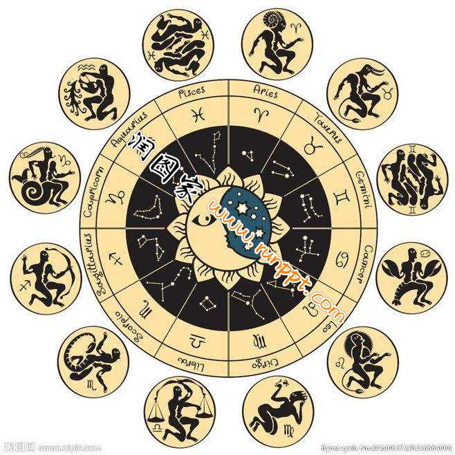 《十一个星座查询》完结版全文免费观看